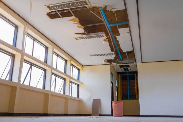 Best Mold removal after water damage  in Brent, AL