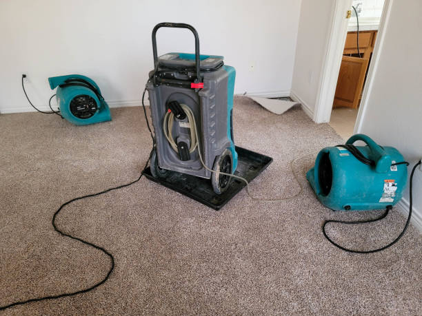 Best Residential water damage restoration  in Brent, AL