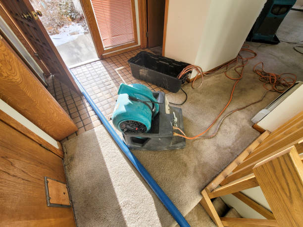 , AL Water damage restoration Company