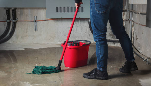 Best Flood restoration services  in Brent, AL