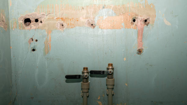 Best Commercial water damage restoration  in Brent, AL