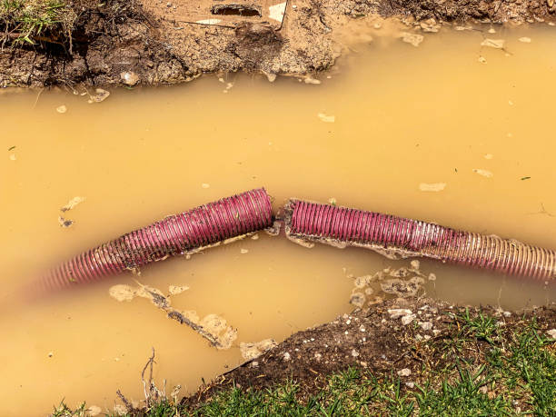Best Flood damage cleanup  in Brent, AL